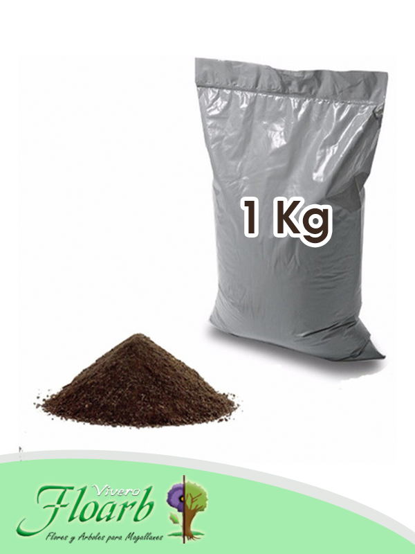 Cantina Sangrar eso es todo Bolsa Tierra Negra (1Kg) | Vivero Floarb | Punta Arenas